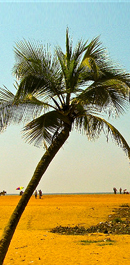 Kerala Weather